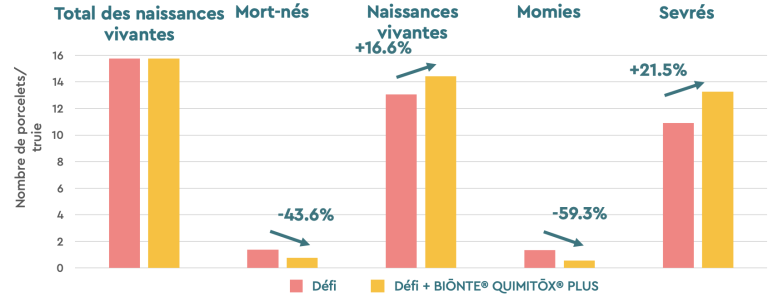 Graphique 4. Caractéristiques de la portée.